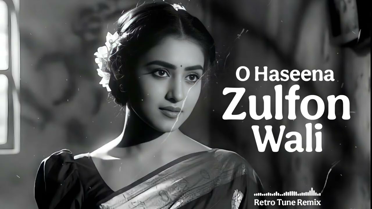 O Haseena Zulfon Wali || Retro Tune Remix