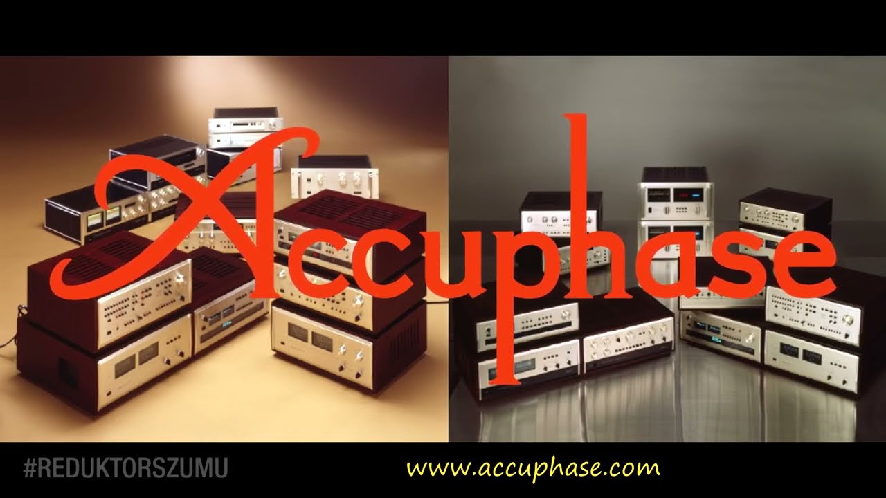 Accuphase E 203 Reduktor Szumu #185