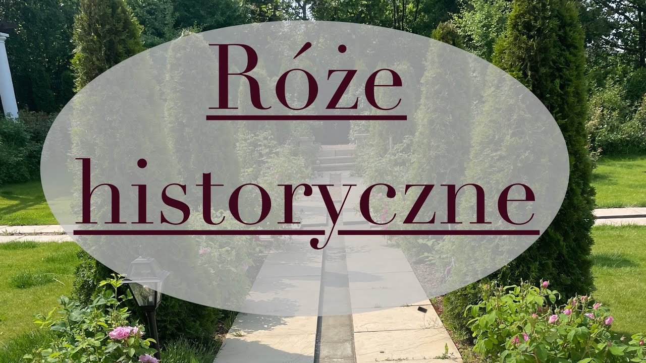 RÓŻE HISTORYCZNE - podróż w czasie