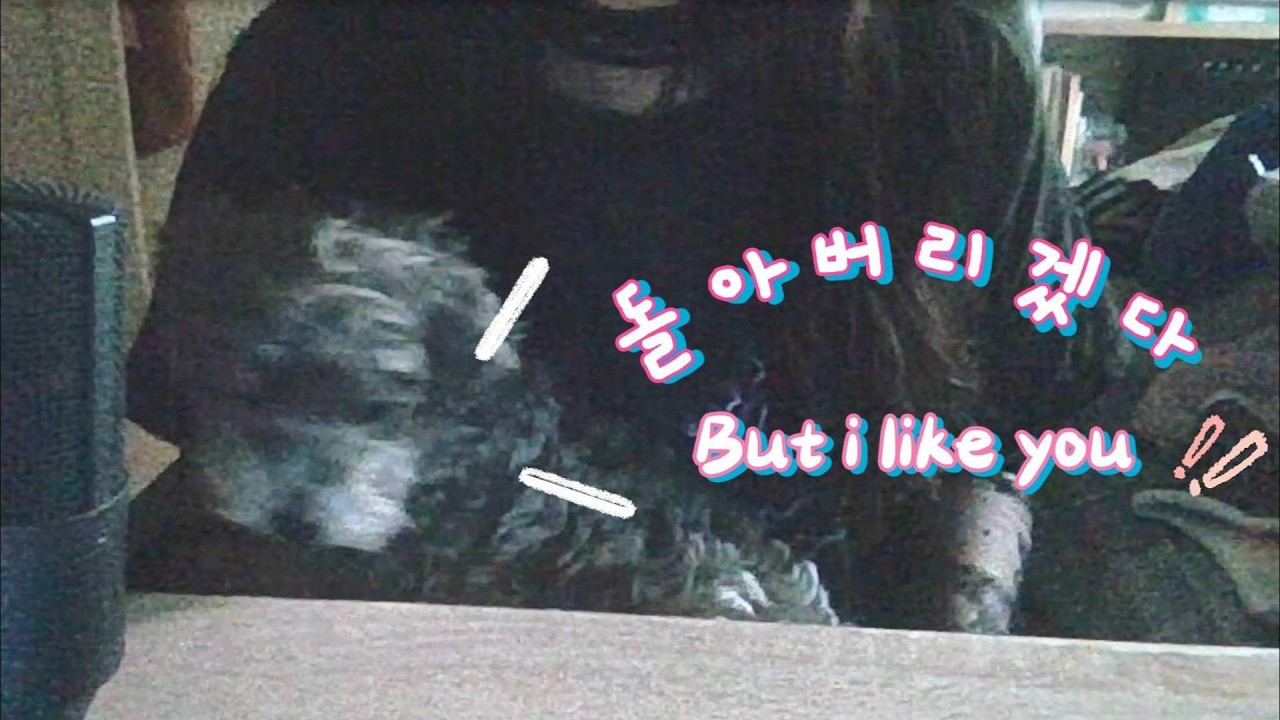 ★COVER★ 돌아버리겠다 (But I Like You)/ BOYNEXTDOOR