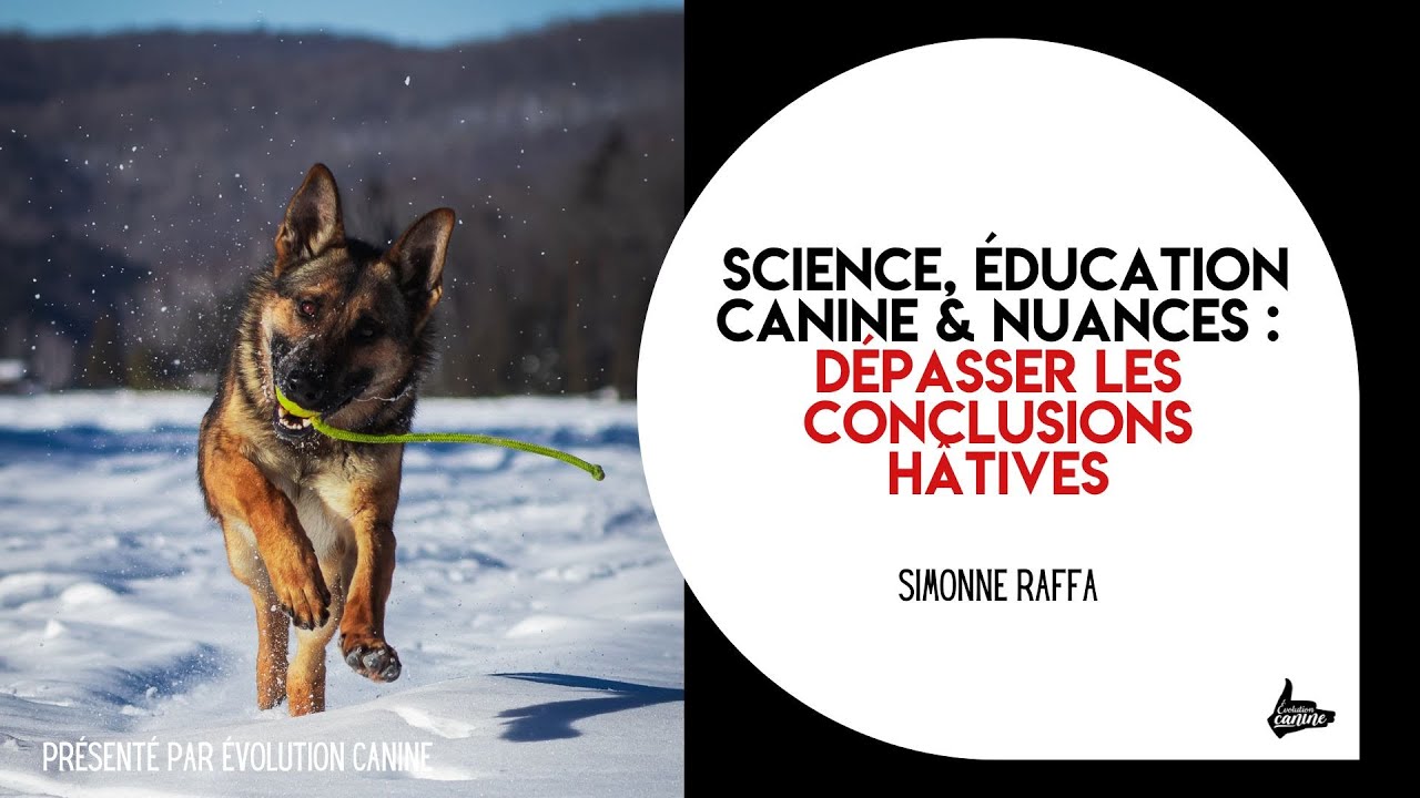 Science, éducation canine & nuances : dépasser les conclusions hâtives