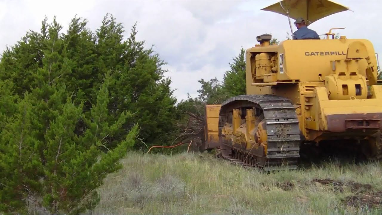Push Cushion D9G Pushing Cedar [HD 1080p]