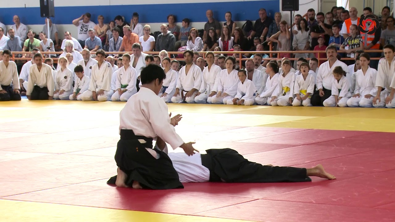 Mitsuteru Ueshiba Aikido demonstration Romania 2017