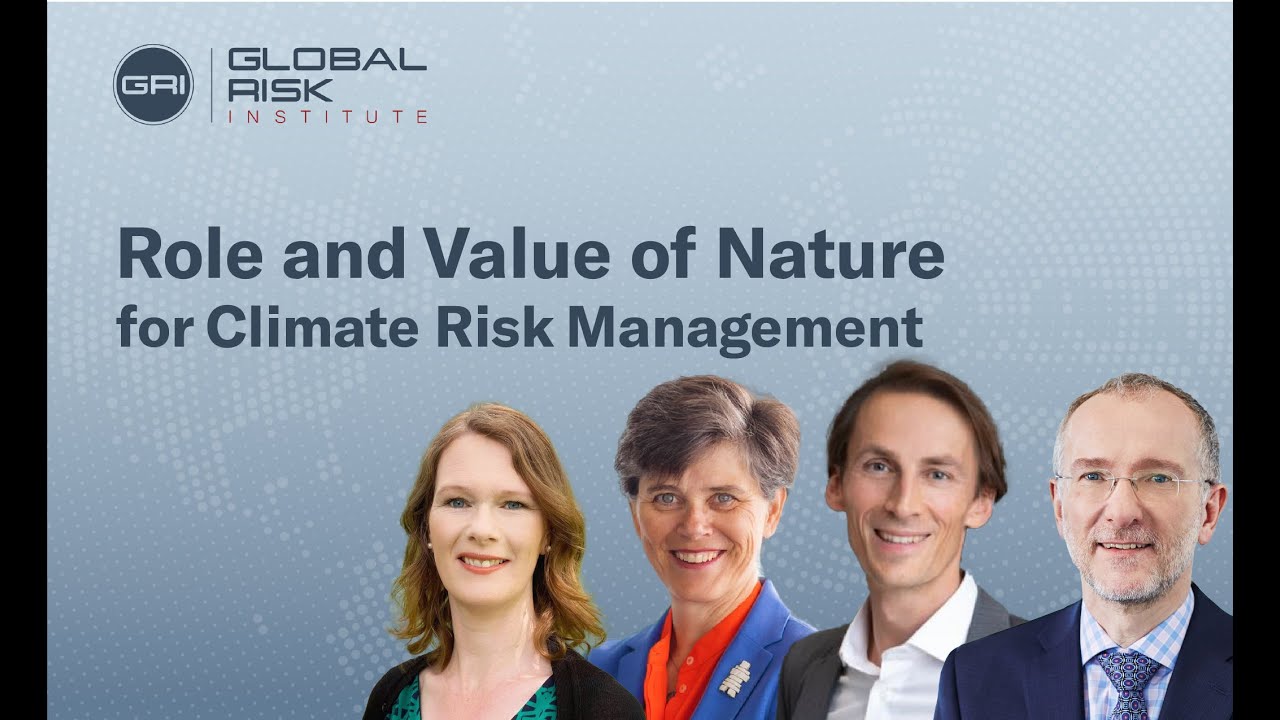 Role and Value of Nature for Climate Risk Management