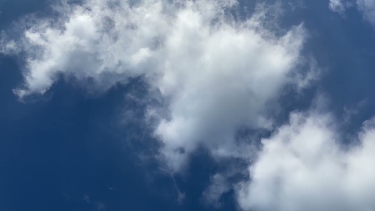 Clouds look like birds.   雲は鳥のように見えます