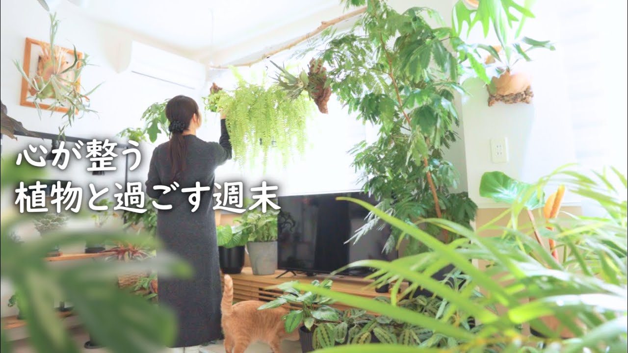 植物で心を整える週末｜観葉植物とコーヒーで安らぐ静かな時間