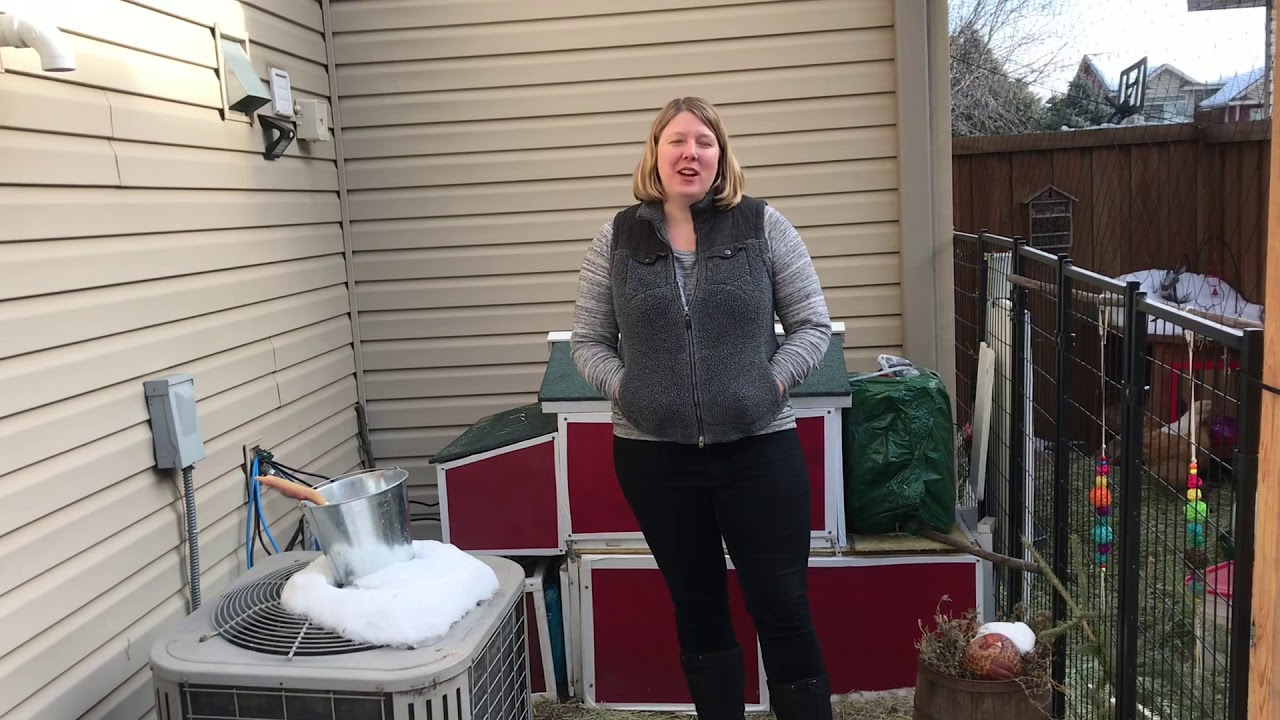 Winterizing a small chicken coop - cheap and easy