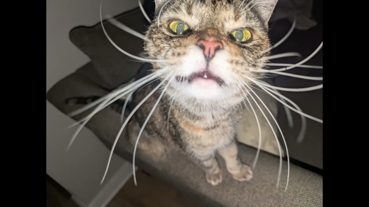 i can smell you
