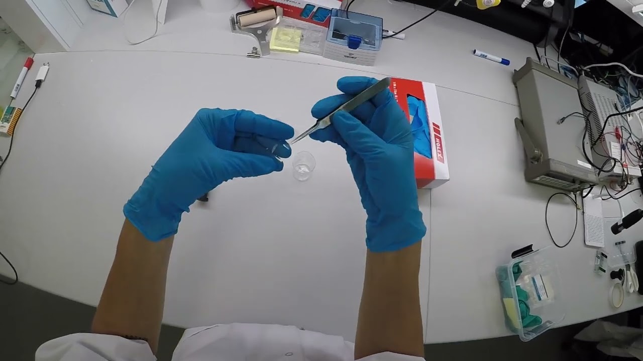 Tape stripping method by Ellen Raun