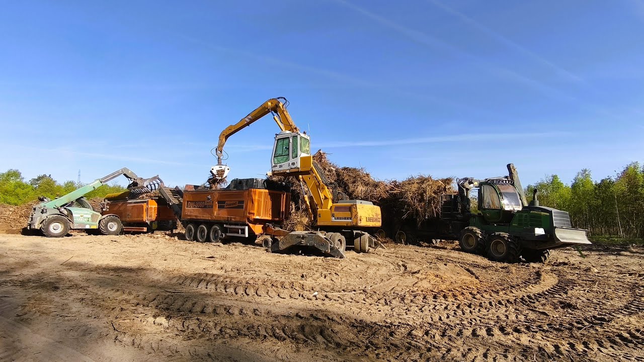 Widok z Liebherr 904 / Rozdrabnianie Korzeni / Forestry Work