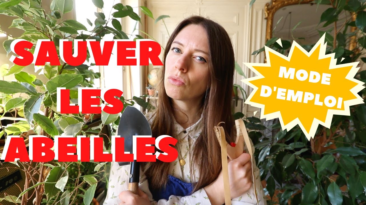 UN MONDE SANS ABEILLES ? NO WAY !
