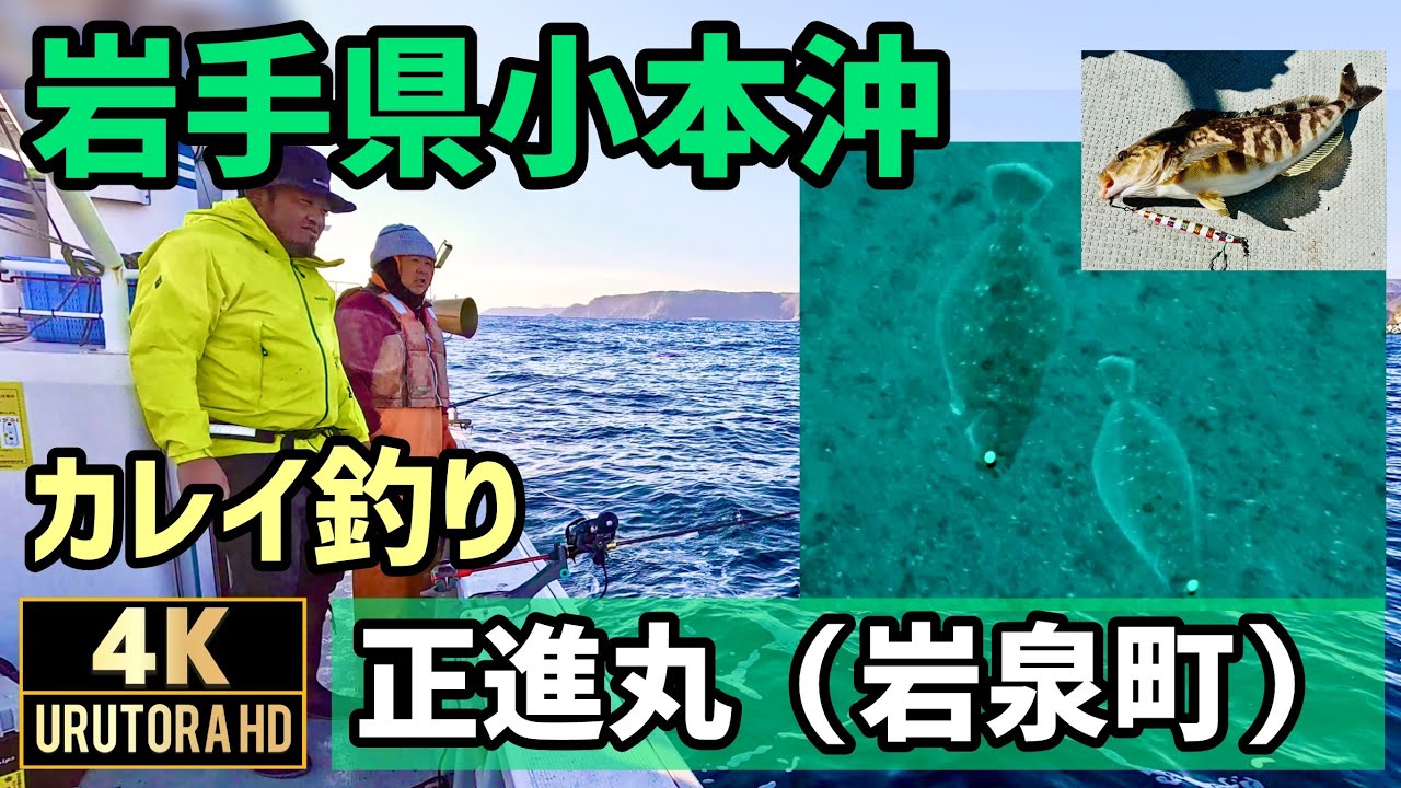 【三陸沖カレイ】 餌はイソメ・サンマ・サバ 岩手県岩泉町小本 正進丸 2025年2月 #105