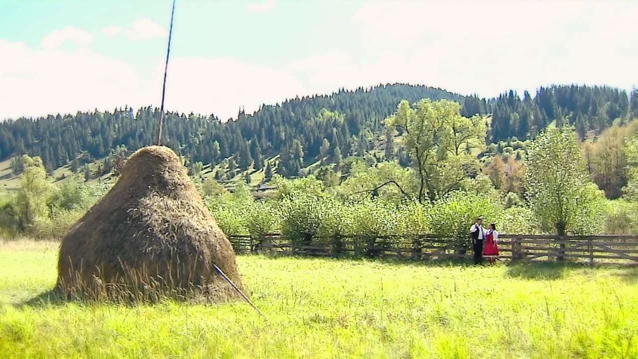 08 Miklos Szilvia es Szilagyi Sandor   Suru csillag HDV
