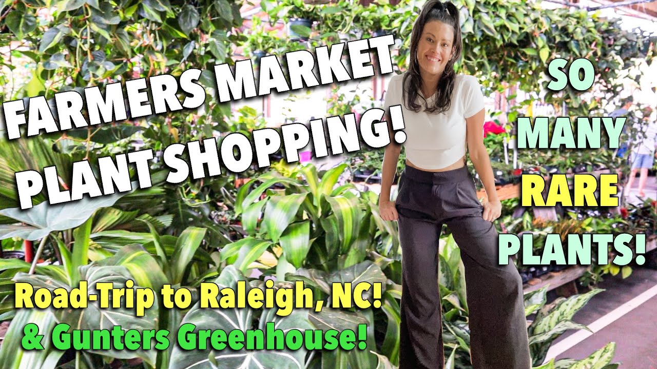 Rare Plants Everywhere! State Farmers Market Raleigh NC - RoadTrip Plant Shopping & Plant Haul