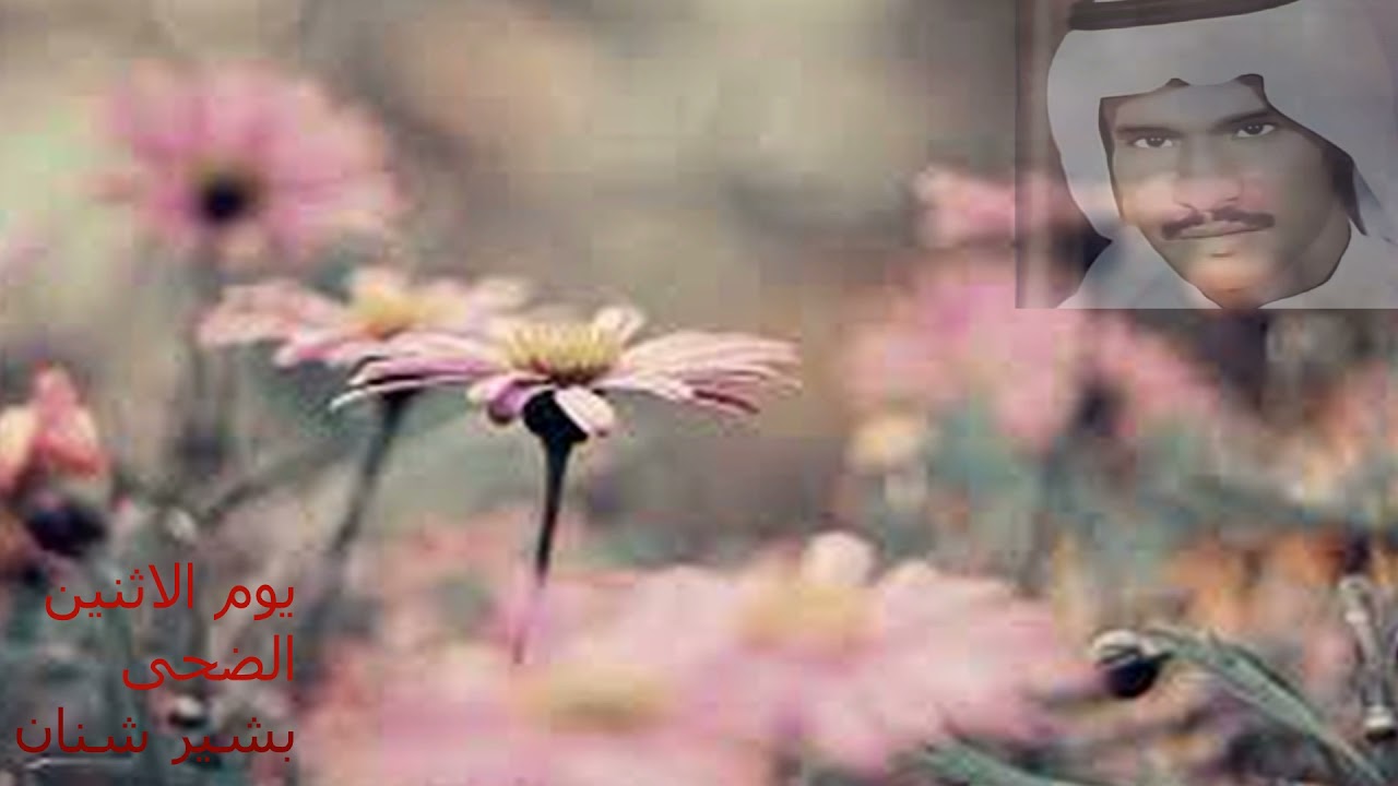 يوم الاثنين الضحى/ بشير شنان / مميزه