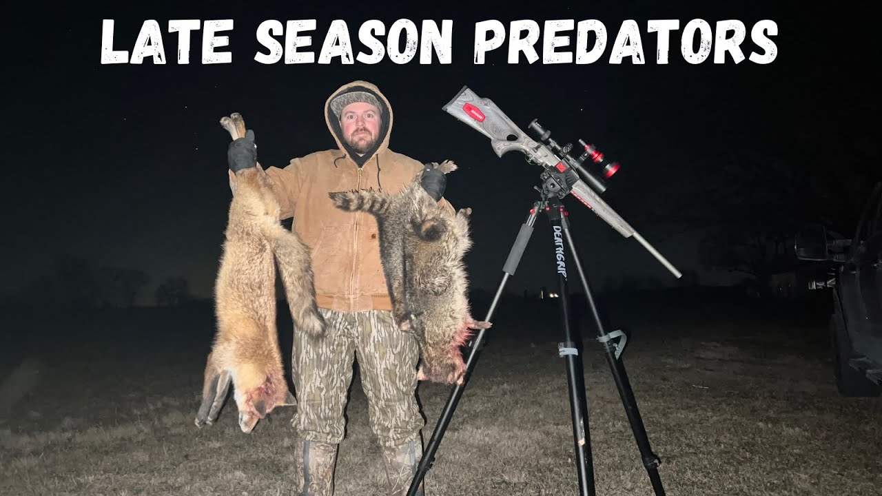 Late Season PREDATOR HUNTING With The Savage B MAG .17 WSM