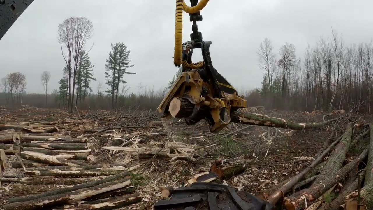 Raw footage of a Tigercat 1165 Harvester