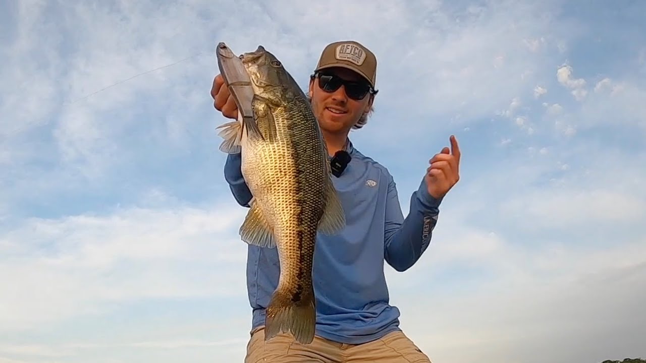 23lb Bag of Spotted Bass on GLIDE BAITS! - LAKE LANIER MAGNUMS