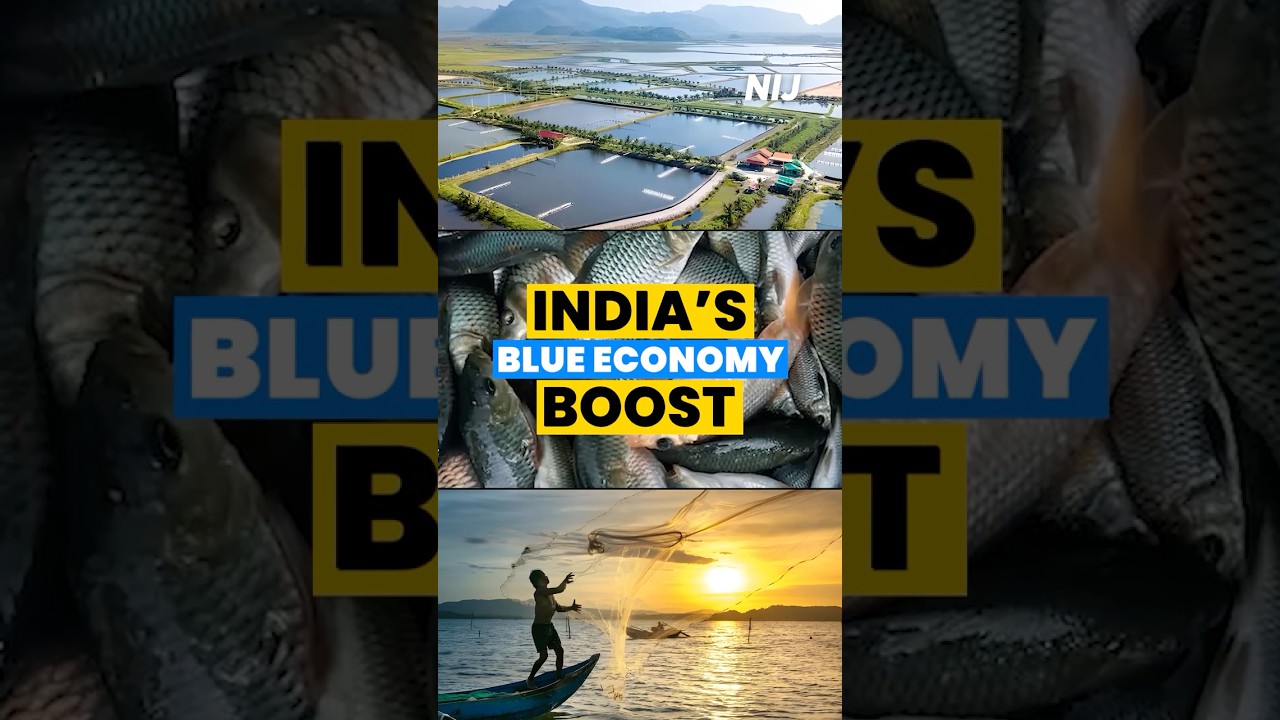 India&rsquo;s Blue Economy boost | J&K emerging as trout farming hub