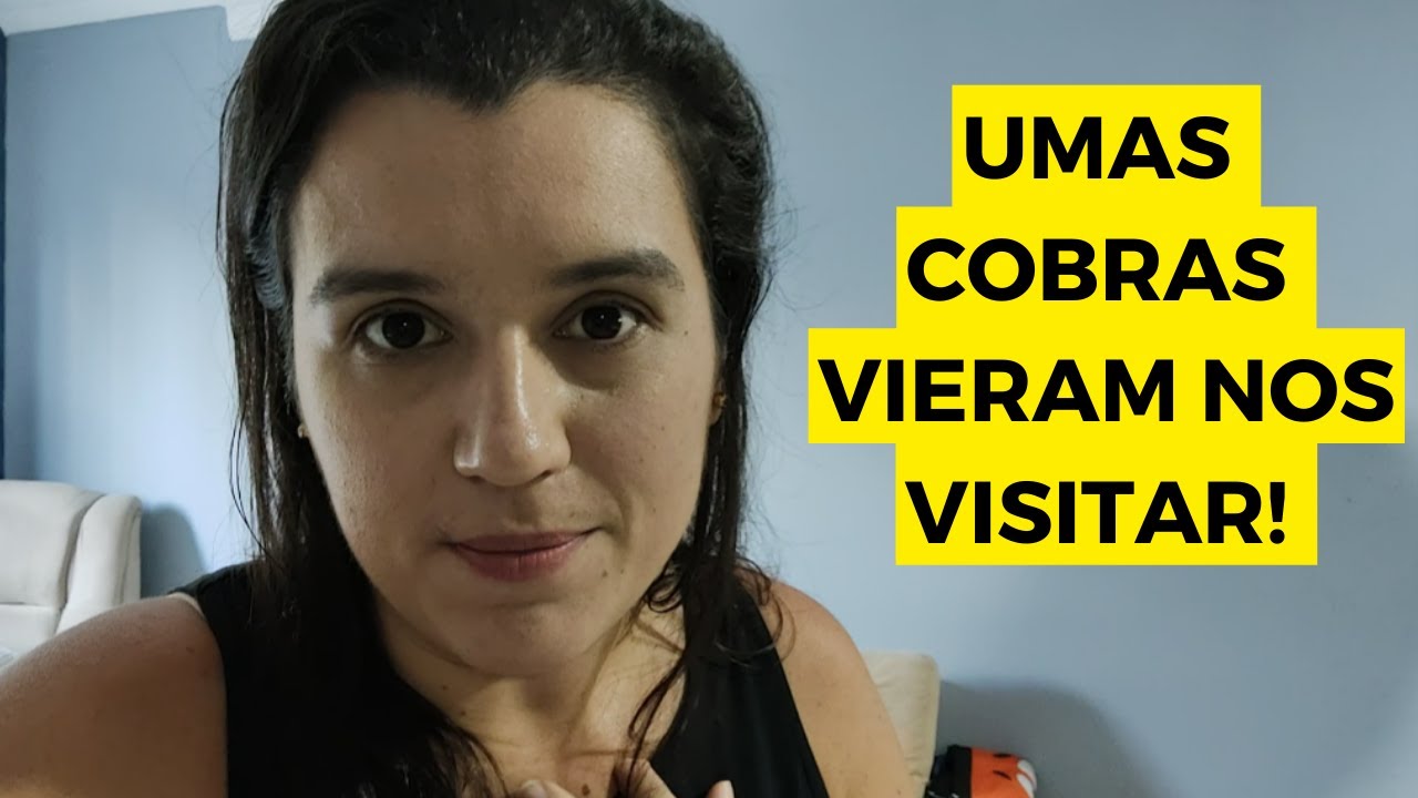Visitas Inesperadas em Casa I Loja Ferreira Costa em João Pessoa I São João Chegou! 🐍🛒🎊