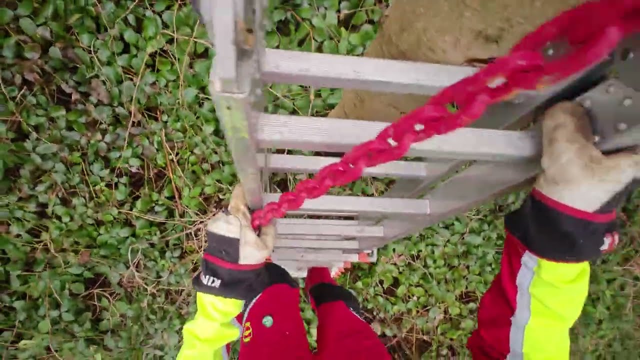 Husqvarna 564XPG und Güldner im Käferholz 