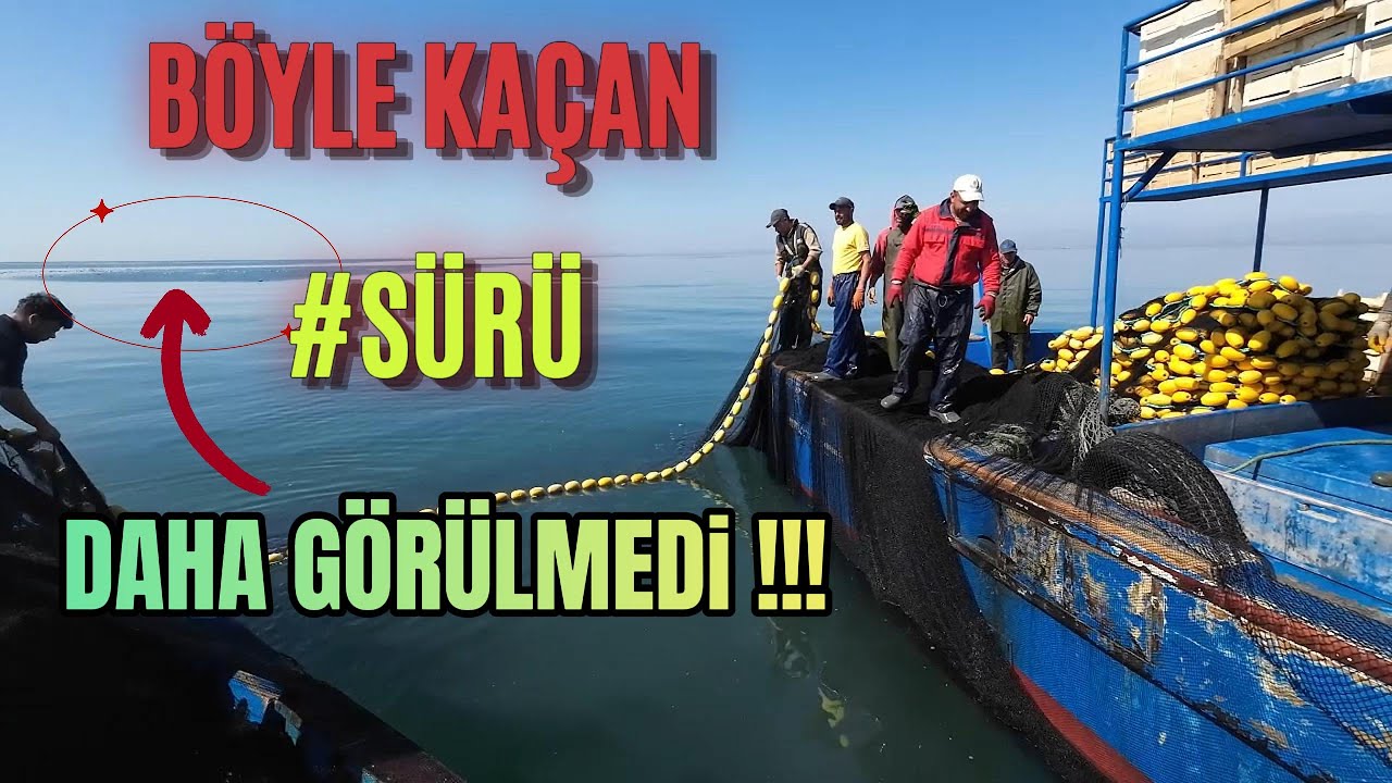 Taramalı SONAR Radardan Kaçan DEV BALIK Sürüsü!! SUZUKİ S675 VS KODEN