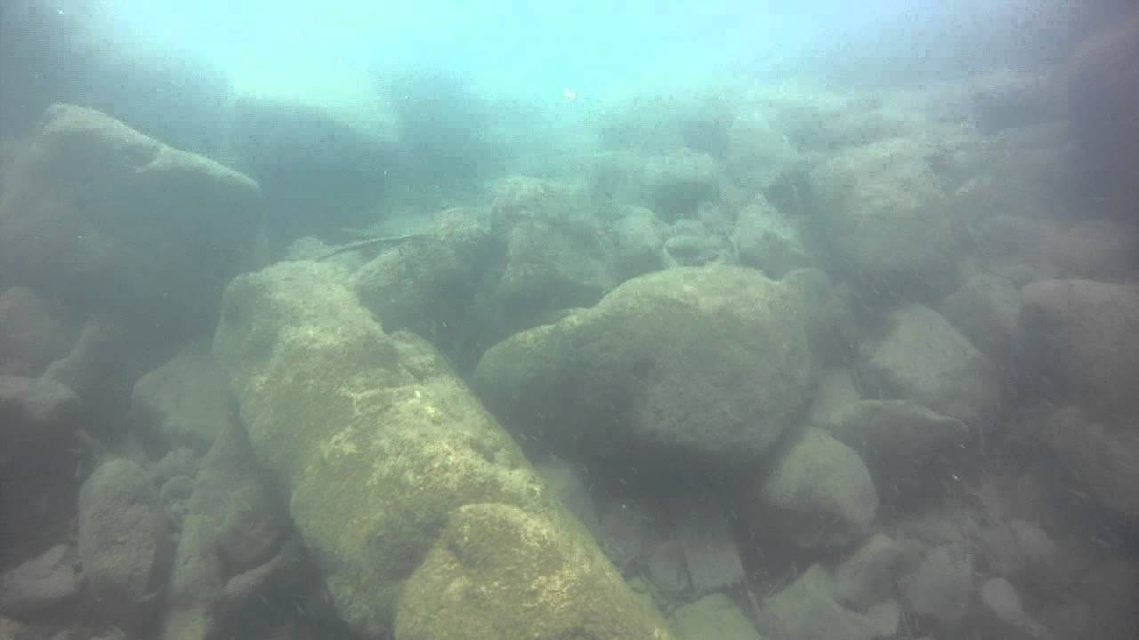 sandre sous l'eau
