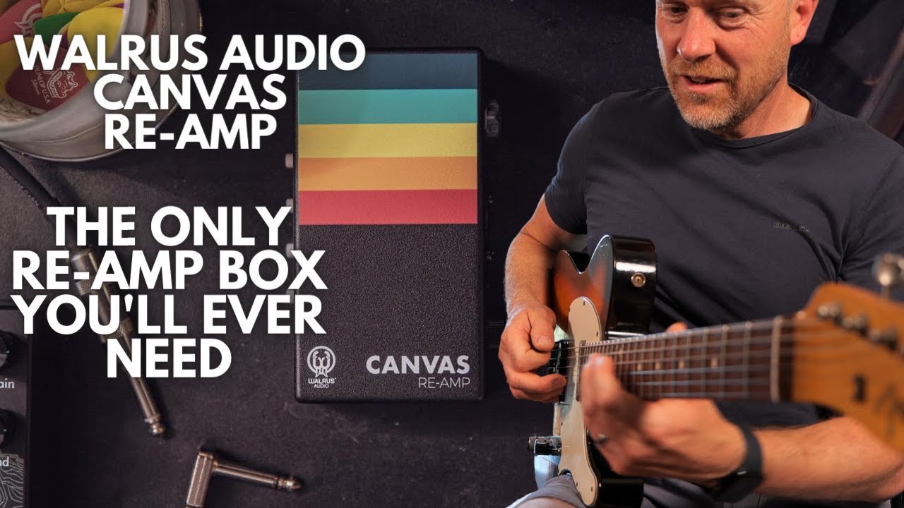 WALRUS Canvas RE-AMP — RE-AMP Box, который делает всё.