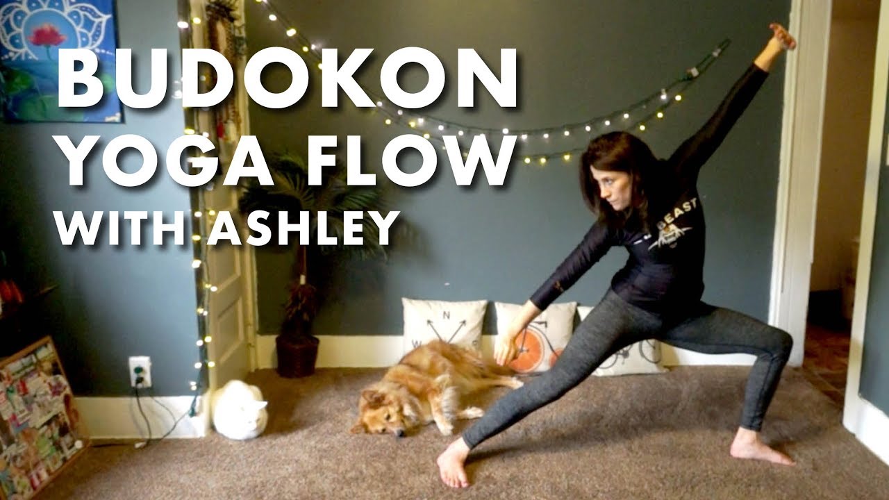 Budokon Yoga Flow - Sections 1-2-7