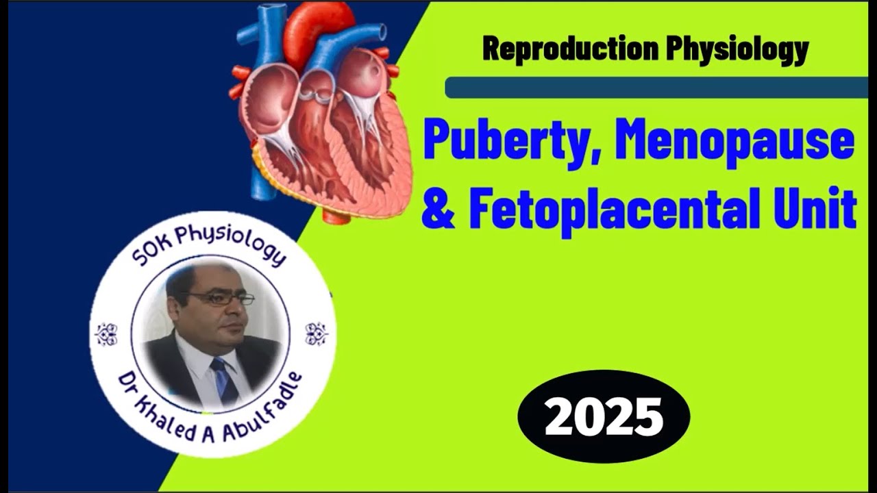 Puberty, Menopause & Fetoplacental Unit Physiology (10-2025) by Dr Khaled A Abulfadle