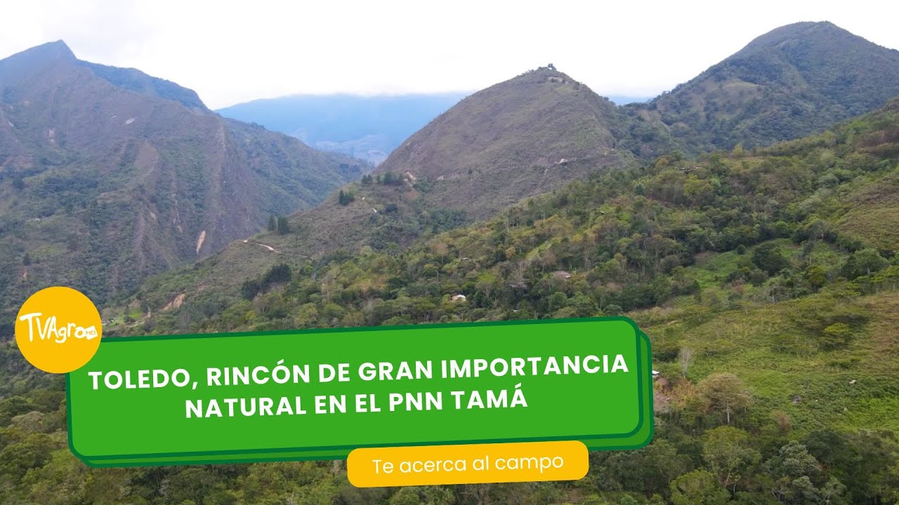 Toledo, rincón de gran importancia natural en el PNN Tamá- TvAgro por Juan Gonzalo Angel Restrepo