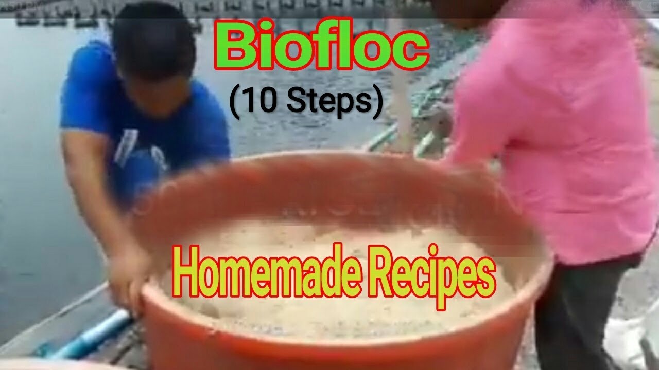 Step by Step Biofloc Preparation (10 steps)
