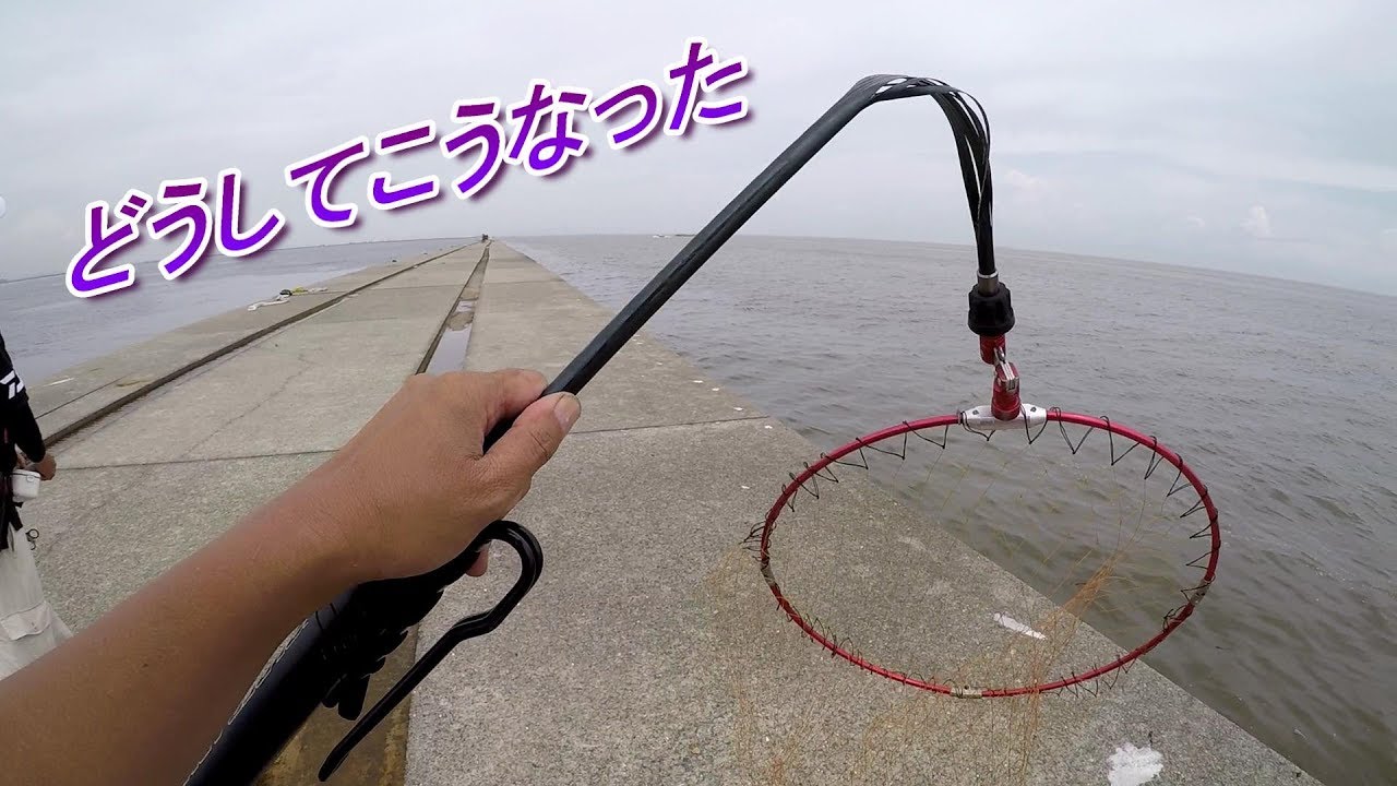 いい曲がりしてるぜ・・・