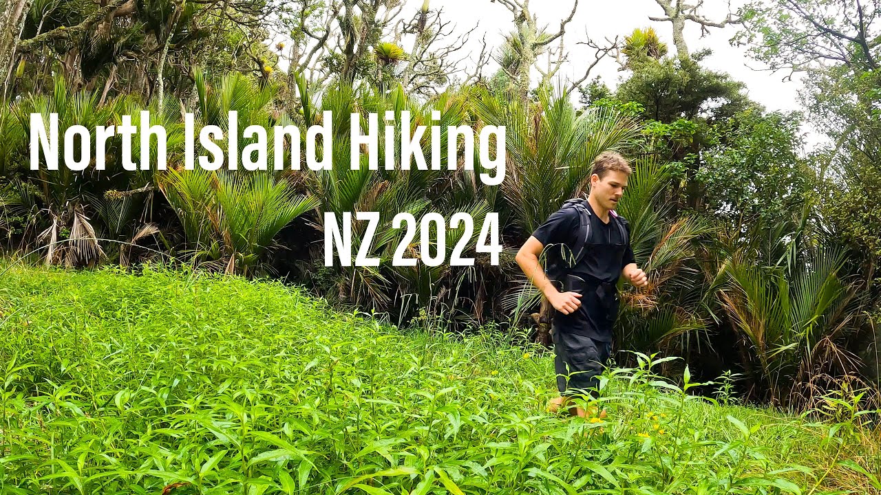Day Hiking Mount Tamahunga in Northern New Zealand! 🇳🇿