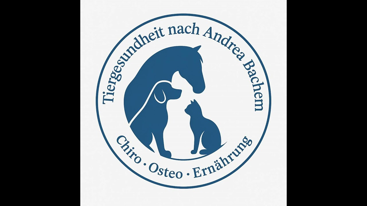 Ganzheitliche Wirbelsäulentherapie beim Hund