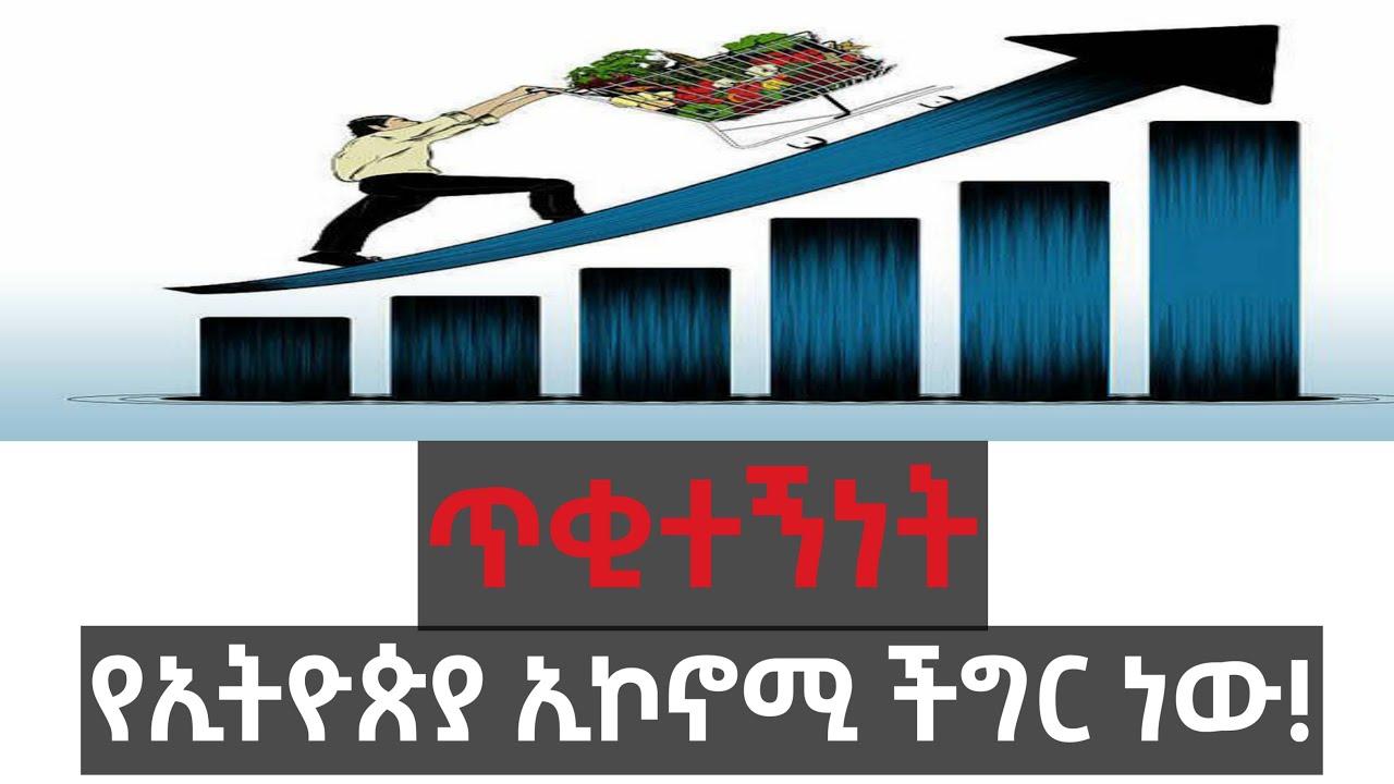 #ጥቂትነት!/Oligopoly የኢትዮጲያ ኢኮኖሚ ችግር ነው! Oligopoly Market Structure in Ethiopia!