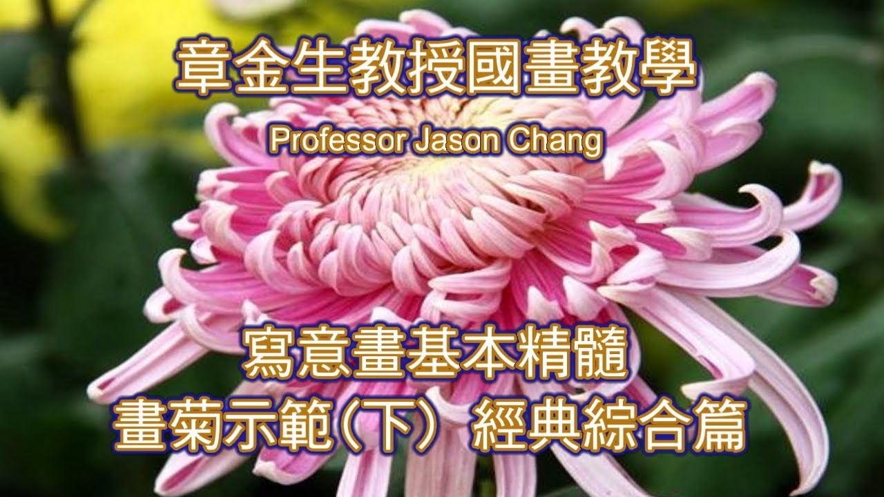 章金生教授國畫教學 寫意畫基本精髓 畫菊篇(下)水墨菊花表現要點, 複瓣菊花沒骨畫法示範, 捲瓣大菊 花瓣及葉片用色技巧
