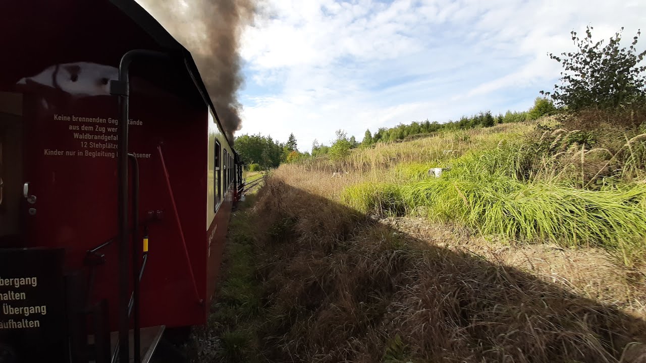 Letzte Fahrt der 99 6001 im Selketal. Abfahrt zum Ramberg mit Schleudergang. 23.09.2024
