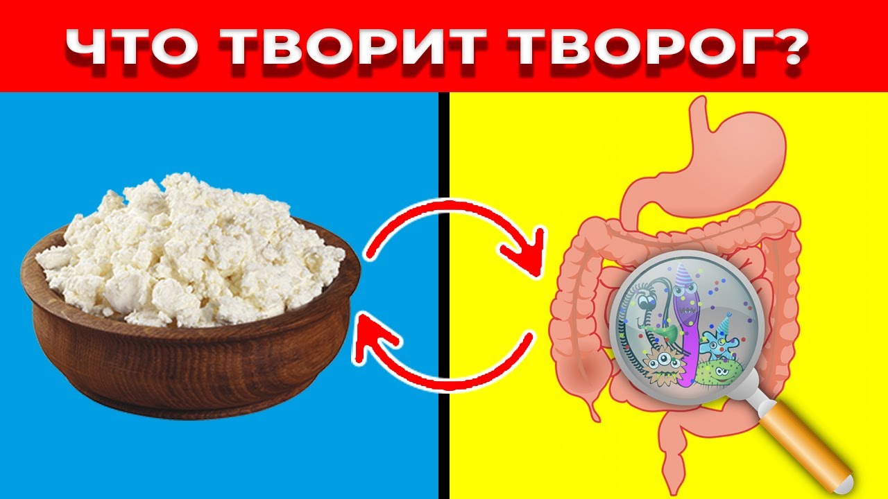 Что будет, если есть творог каждый день? Реальная польза и вред