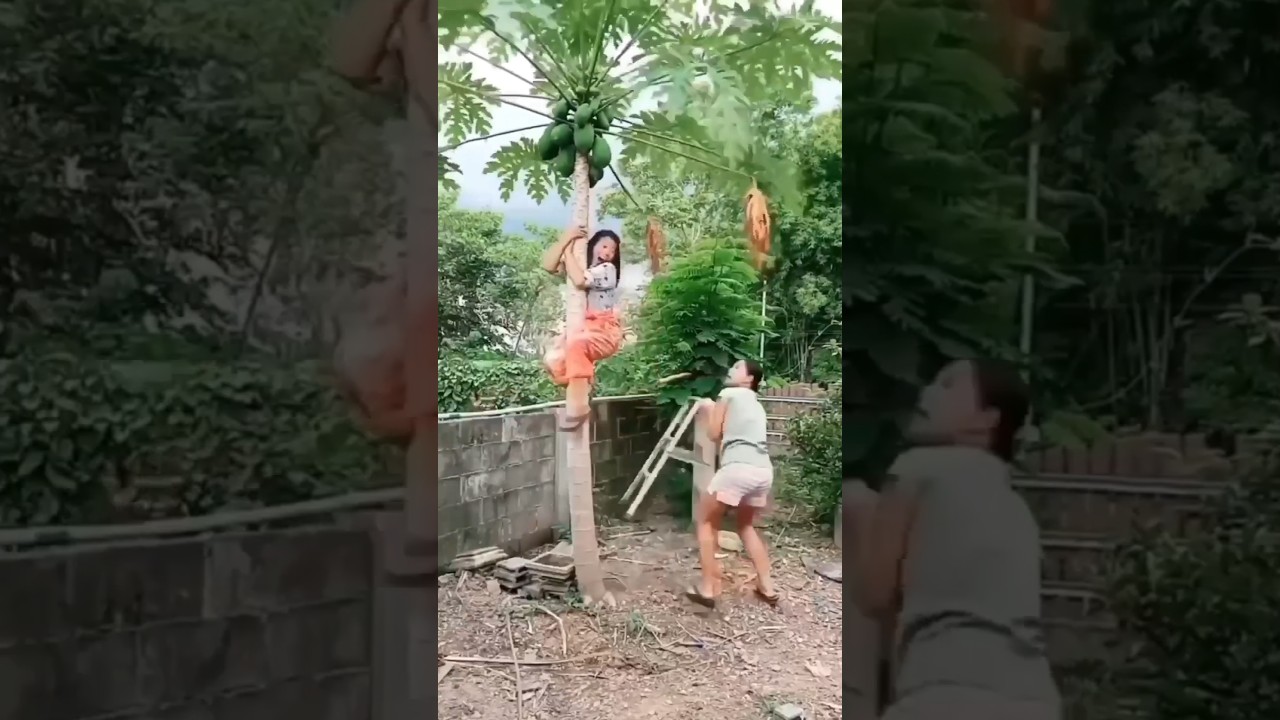 mau ketawa takut dosa video lucu bikin ngakak hiburan warga+62 funny videos