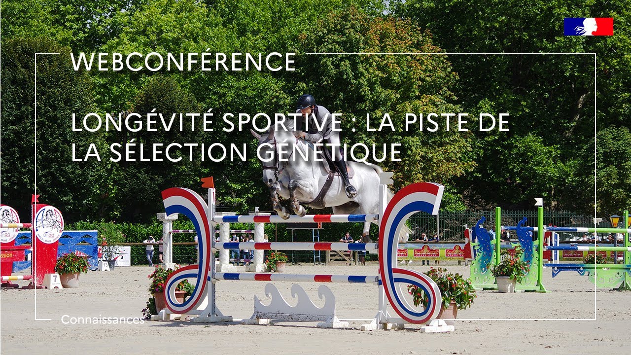 Longévité sportive : la piste de la sélection génétique - Suzanne Harari
