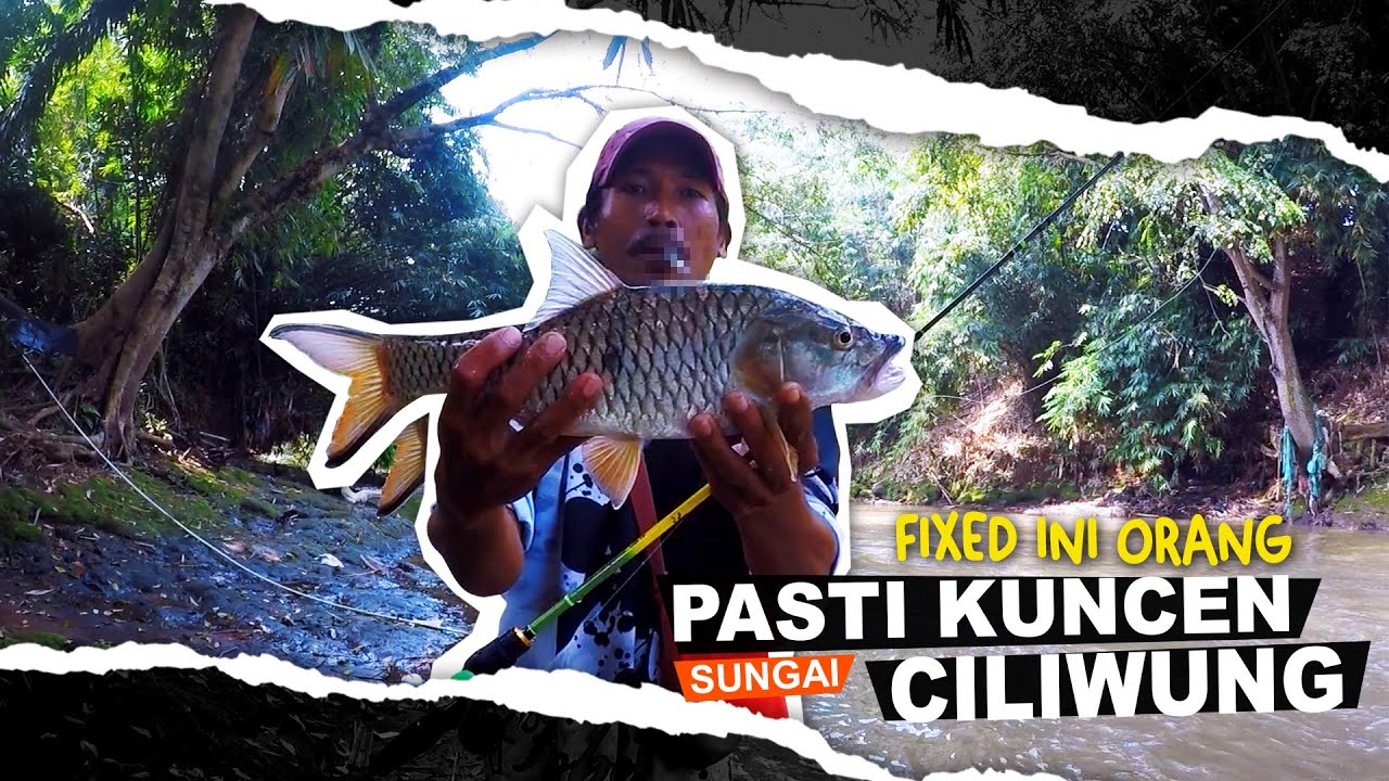 MONSTER HAMPALA CILIWUNG DEPOK | ULTRALIGHT FISHING