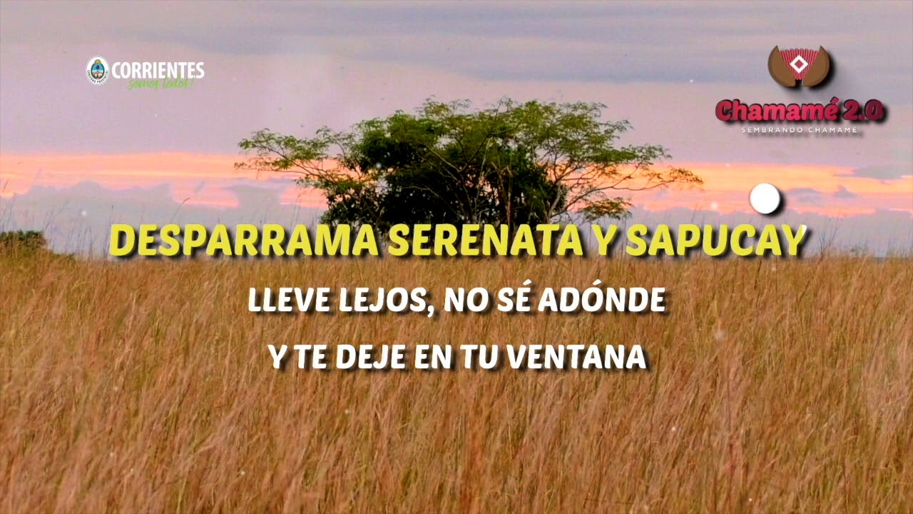 Niña del Ñangapiri. Santiago Bocha Sheridan. Chamamé 2.0