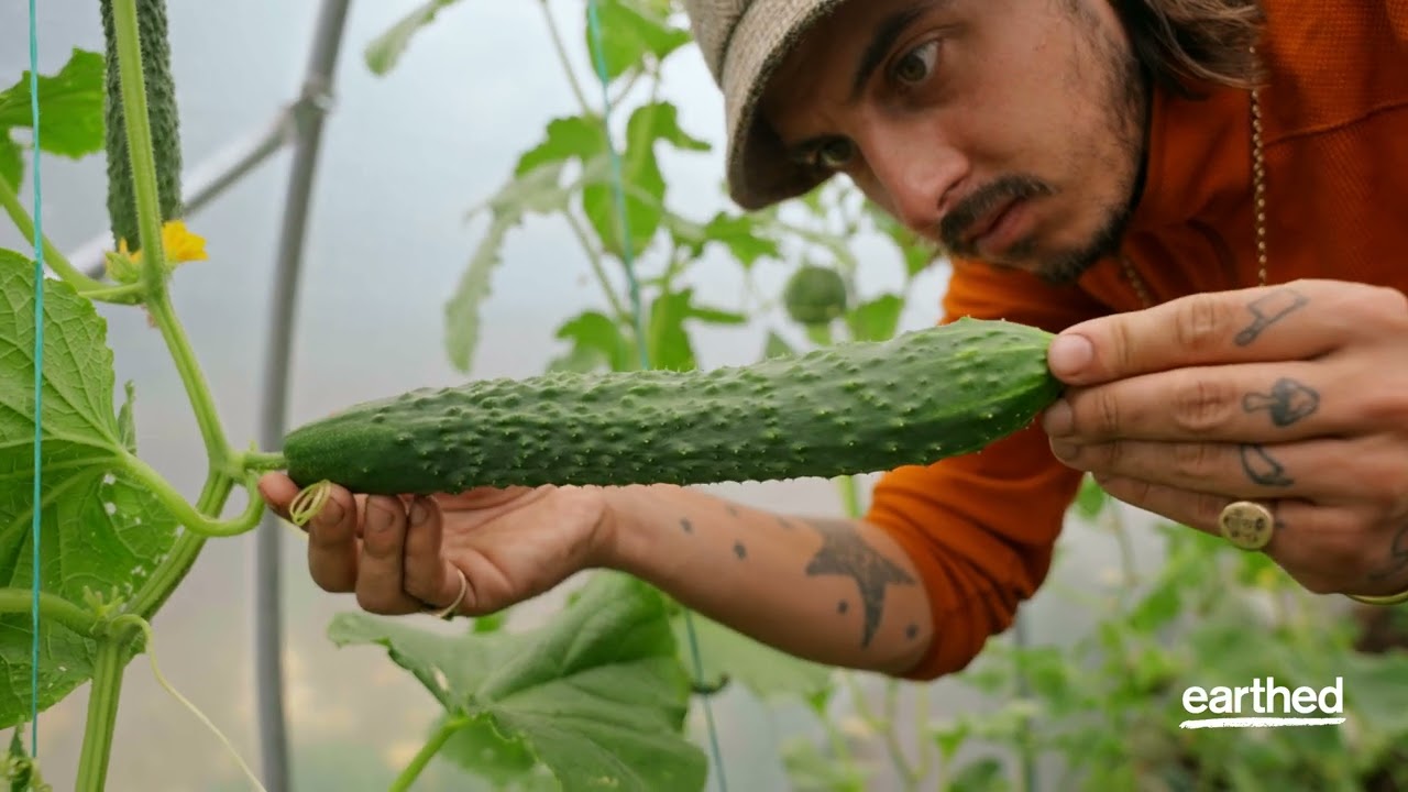 Building Biodiverse Gardens with Mitch McCulloch | An Earthed Course