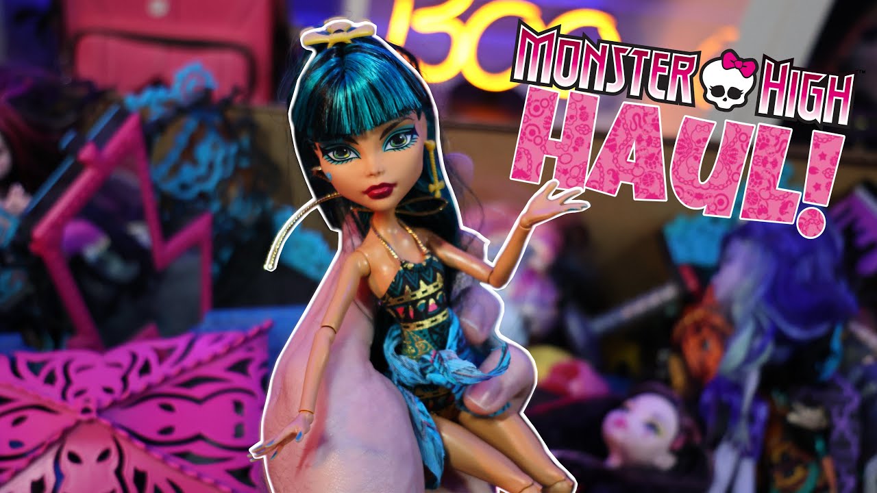 I BOUGHT SOMEONES ENTIRE MONSTER HIGH COLLECTION! Haul!