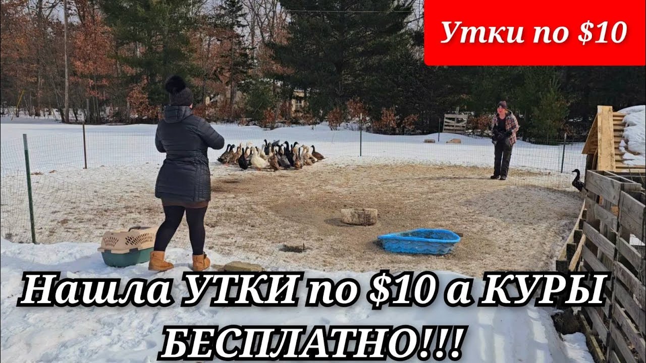 ДУМАЮ ПРОБЛЕМА РЕШЕНА .