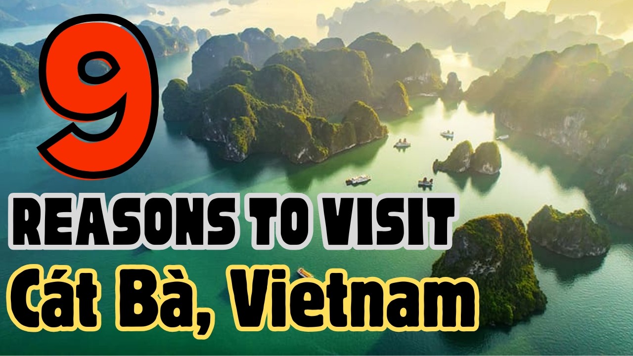 9 Reasons Cat Ba Vietnam Will Blow Your Mind (2025) 🤯🇻🇳