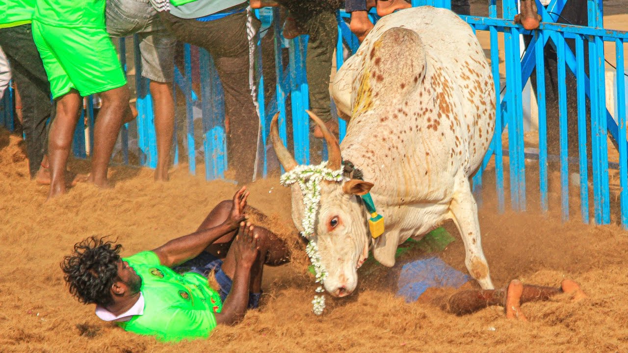 Madurai Keezhakkarai Jallikattu 2026 Videos | மதுரை கீழக்கரை ஜல்லிக்கட்டு 2026 Videos