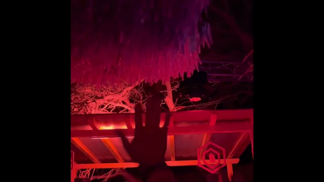 Laurine & Cecilio (Slow Life) @ Dimensions Festival 2022