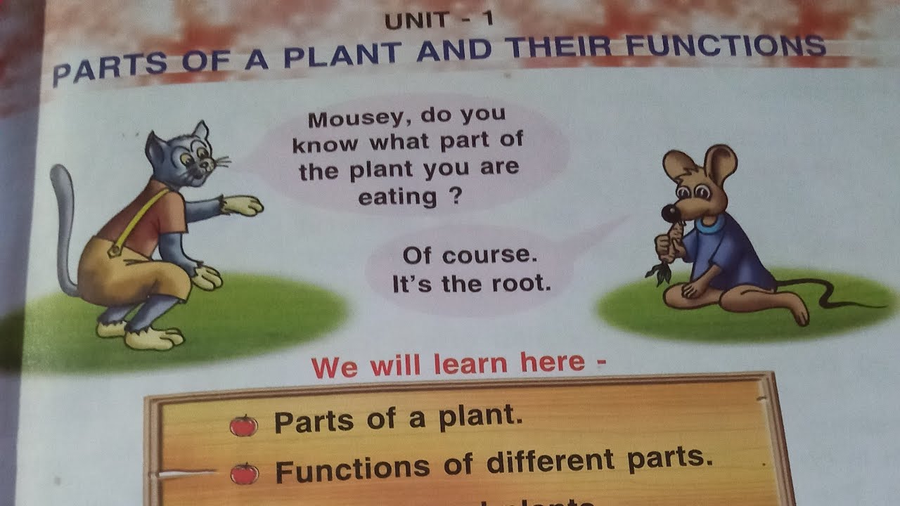 Basic science for class 3 chapter 1/class 3 basic science
